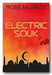 Book Front Cover from Rose McGinty - Electric Souk (2nd Hand Paperback)